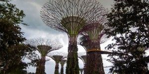 singapore-gardens-by-the-bay-supertrees