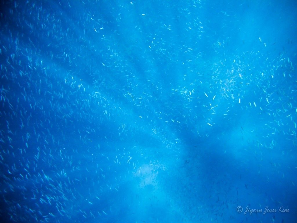 Mapalascua Philippines