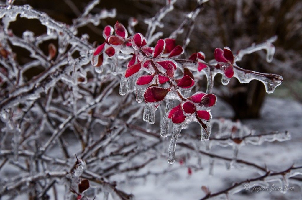 Winter in VA