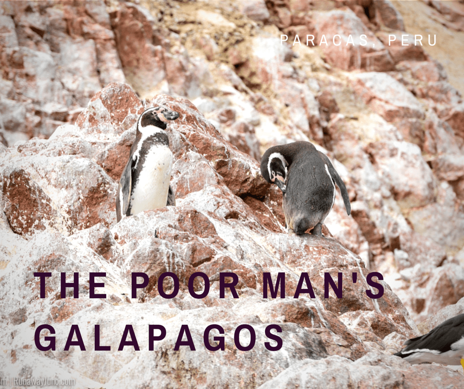 Ballestas islands