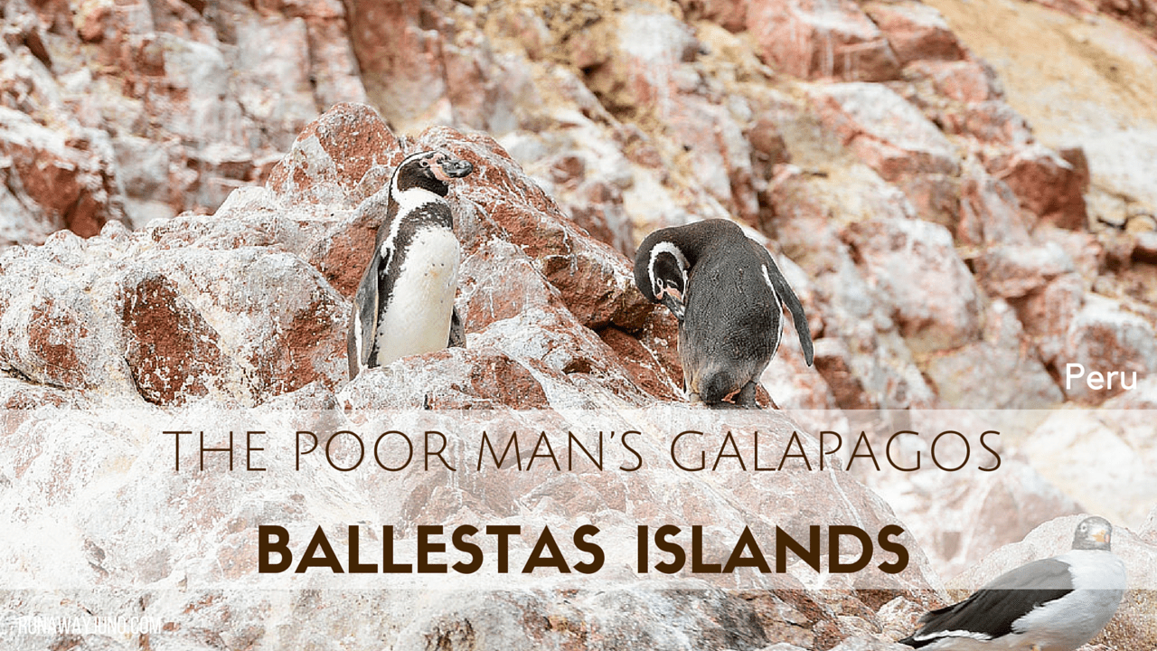 The Poor Man’s Galapagos: Ballestas Islands