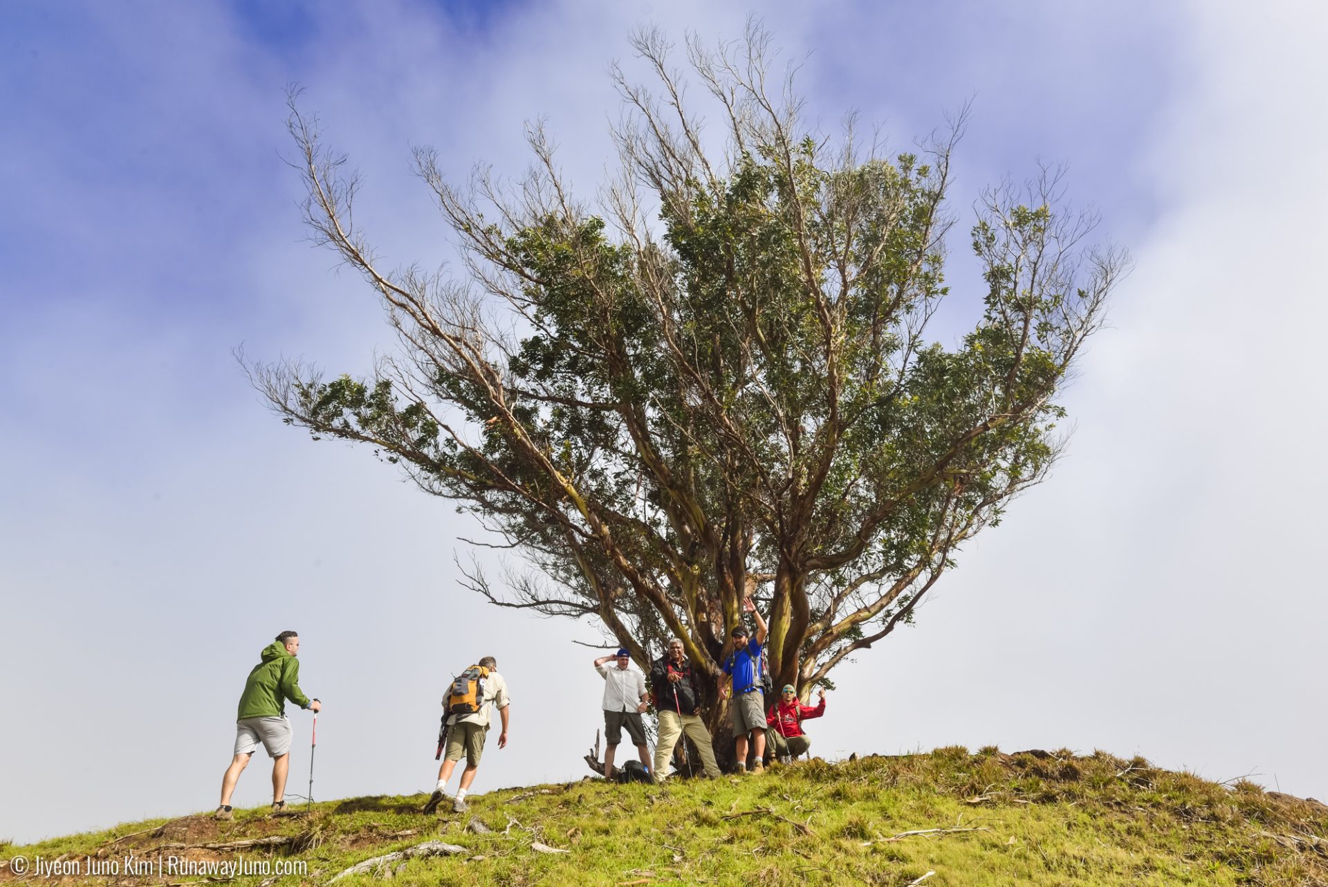 One Fine Day in Terevaka, The Highest Peak on Easter Island