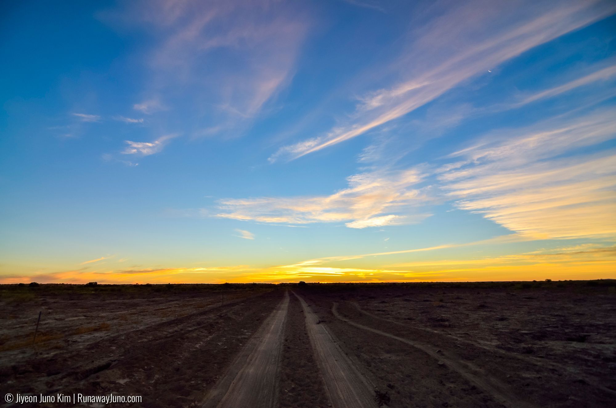 Success is about Whether You Get Up: Inspiration from Elon Musk