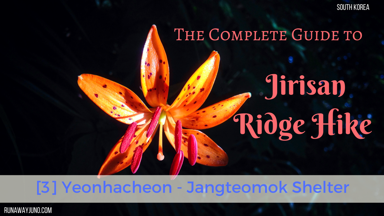 The Complete Guide to the Jirisan Ridge Hike [3] Yeonhacheon Shelter – Jangteomok Shelter