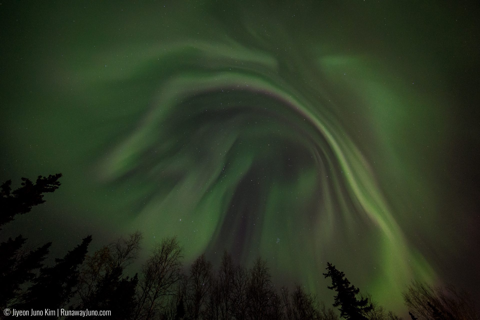 The Day I Saw the Northern Lights in Anchorage, Alaska