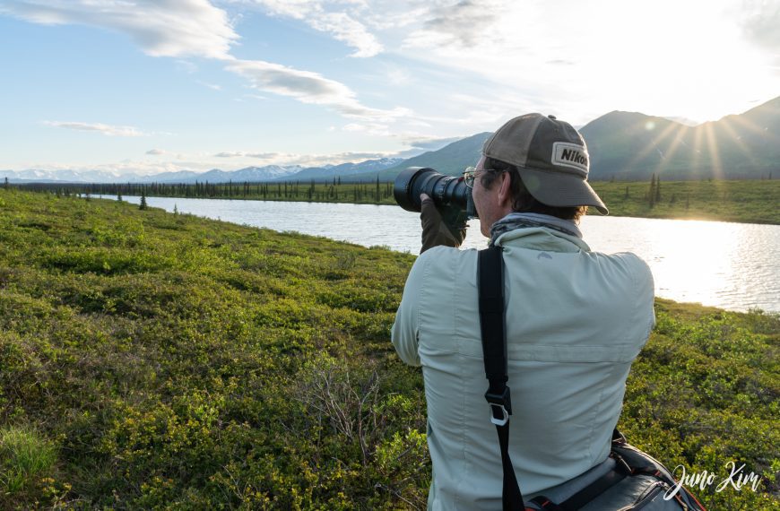 Notch up your photography skills with Denali Photo Guides