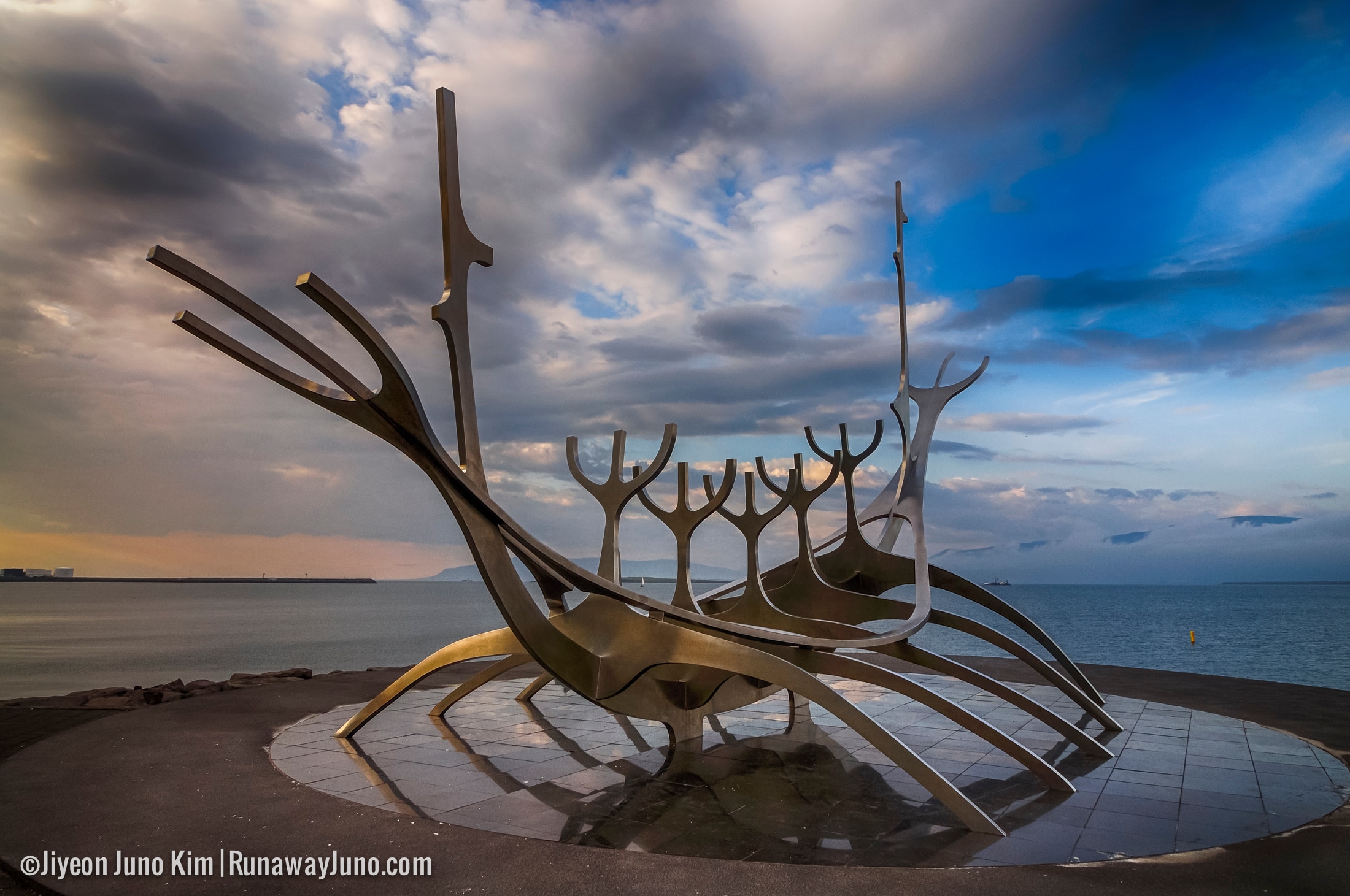 Hákarl: Iceland’s Fermented Shark – A Viking Legacy